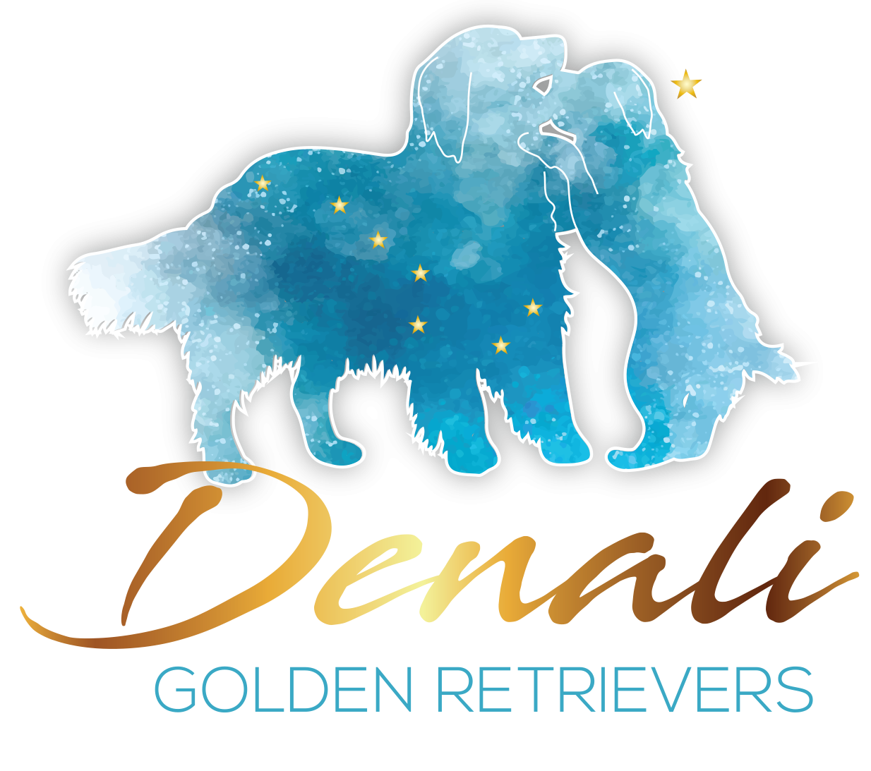 Denali Golden Retrievers